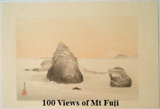 100 fuji
